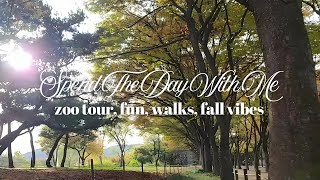 Spend The Day With Me  zoo tour fun walks fall vibes [upl. by Rea]