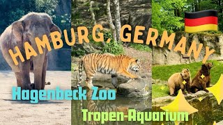 Germany 🇩🇪  Hamburg  Hagenbeck Zoo ❤️ hamburg germany travelguide peace zoo animallove [upl. by Hitoshi364]