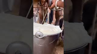 New videos YouTube likes share video supporter 🙏🐮🐄📱✅ Arjun dairy farmer 💕🙏🙏 Jay Shri Ram 🚩🚩 [upl. by Phillip]