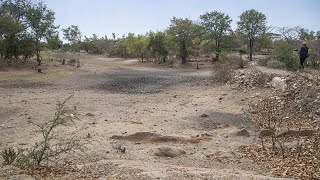 Around 68 million people in Southern Africa suffer from an El Niñoinduced drought [upl. by Pergrim]