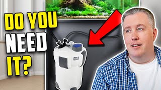 Does Your Aquarium Need A Canister Filter [upl. by Salamone26]