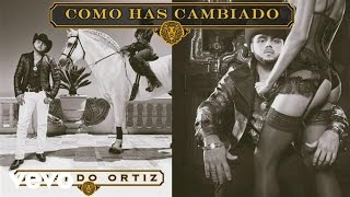 Gerardo Ortiz  Cómo Has Cambiado Audio [upl. by Morocco]