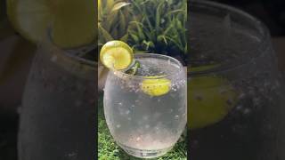 Basil seeds sabjadrink recipe  refreshingdrink easyrecipe basilseedsytshortsvideo [upl. by Boyden]