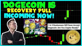 CRUCIAL NEWS FOR ALL DOGECOIN INVESTORS FAST Whales Activity Elon Musk SPACEX Cybertruck [upl. by Yeleak]