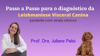 Passo a Passo para o diagnóstico da Leishmaniose Visceral Canina  paciente com sinais clínicos [upl. by Sarette]