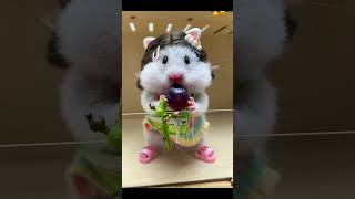 Adorable Hamster eating grape可爱鼠鼠吃葡萄hamsters cute pets animals funnyeatingeatshorts [upl. by Aihtak]