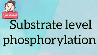 Substrate level phosphorylation [upl. by Nellad]