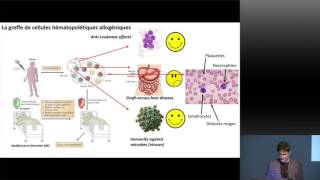 La transplantation de cellules souches et de moelle osseuse  des traitements tournés vers l’avenir [upl. by Aynotahs]