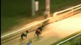 IGB  Find us on Facebook S2 23082019 Race 7  Dundalk [upl. by Anavoig]