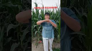 Entertaining short films good maovies every day laughing every minute 26 [upl. by Dreddy]