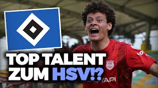 HSV verpflichtet absolutes TOP TALENT [upl. by Loram]