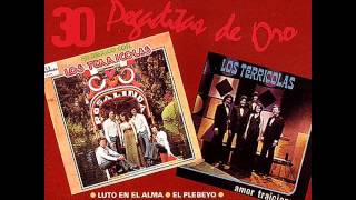 Los Terrícolas 30 Pegaditas de Oro Vol 1 1992 Disco Completo [upl. by Kavita]