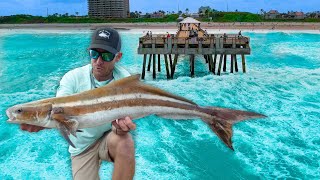 7 Days Catching Every Fish From Legendary Pier [upl. by Bradford]