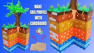 How to Make Soil Profile Model with Cardboardsoil layers [upl. by Gnourt186]