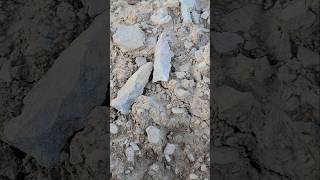 Two ancient treasures in one hunt arrowhead artifacts field archeology treasure lithics ohio [upl. by Michon]