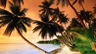 Beautiful Tropical Music amp Caribbean Music amp Hawaiian Music  Island Paradise 🌴 [upl. by Anstus282]