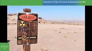 Researchers Find ‘Alien’ Life Forms In An Abandoned Uranium Mine In Germany [upl. by Ailadi]