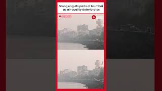 Smog Engulfs Mumbai As Air Quality Deteriorates  Air Pollution [upl. by Zurciram]