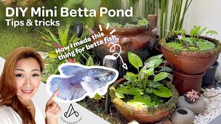 Simple DIY mini patio pond How to make betta fish pond at home  complete ecosystem NO TECH [upl. by Aneekat]