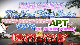 NEW VIRAL TUNOG KALYE BUDOTS DISCO REMIX APT Meow Meow Meow Roadtrip to Minalin Sunset Park [upl. by Eninaej]