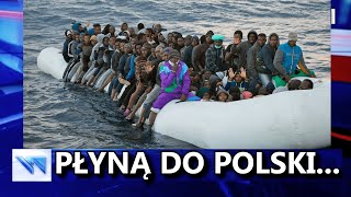 Pakt Migracyjny  Co Czeka Polskę  XDmości 149 [upl. by Pavyer]