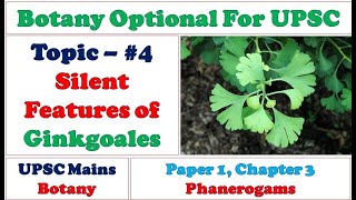 Silent Features of Ginkgoales General Characters of Ginko biloba UPSC Botany Optional Lectures [upl. by Aylward]