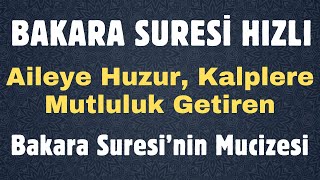 BAKARA SURESİ HIZLI🌹Aileye Huzur Kalplere Mutluluk Getiren Bakara Suresi’nin Mucizesi Hemen dinle [upl. by Eirod]