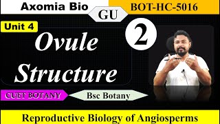 Ovule Structure Pistil CarpelFemale reproductive structure Bsc Botany 5th sem BotanyAxomia Bio [upl. by Notnarb]