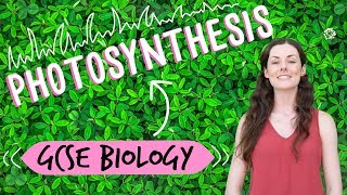 Photosynthesis  GCSE Biology [upl. by Demetri142]