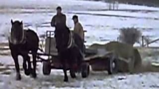 Horse drawn bale unroller [upl. by Jorry]