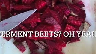 Talking Fermenting Veggies amp Making CarawayGarlic Fermented Beets [upl. by Eimiaj101]