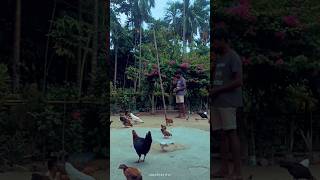 day90265ytshorts youtube funny viral comedy cute viralshorts viralvideo new trending [upl. by Eissat]