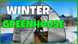 Winter Greenhouse Growing [upl. by Camile768]