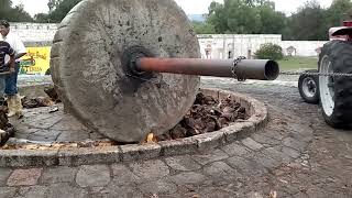 LA MOLIENDA DEL MEZCAL Proceso de trituración de plantas de agave mezcalero previamente cocido [upl. by Kurzawa]