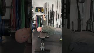 Dumbbell Pullovers for Strong Lats [upl. by Nwahsav442]