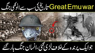 The Great EMU War  How Australia Lost War Against Birds  In Urdu and Hindi [upl. by Vashtia]