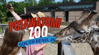 Potawatomi Zoo South Bend Indiana [upl. by Helman]