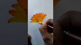 Watercolor drawing shortsvideo art coloringflowers flowerart tranding painting flowereart [upl. by Ruy]