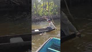 Pesca de Pargo Gigante sigueme viral pesca videos viral [upl. by Boynton]