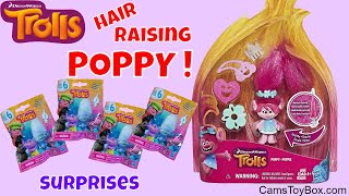 Dreamworks Trolls Hair Raising Poppy Opening Series 6 Blind Bags Surprise Toys Unboxing [upl. by Aifoz]