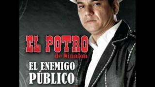 El Potro de Sinaloa  El Enemigo Publico Promo 2010 [upl. by Nim587]