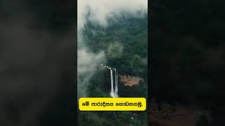 මේ රට පාරාදීසයක් මා නිවැරදිද srilanka sinhala🥰❤️ [upl. by Yspyg]