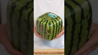 unique square shape watermelonll shortsvideo ytshort viralshort foodzwithme [upl. by Gustav291]