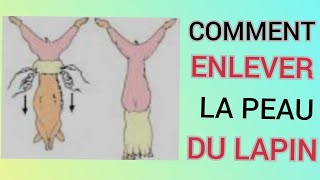 COMMEMT NETTOYER SQUALPER  ENLEVER LA PEAU DUN LAPIN [upl. by Ellora138]