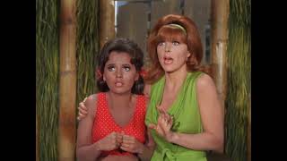 Not Guilty Ginger amp Mary Ann Gilligans Island Voiceover [upl. by Purvis]