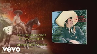 Vicente Fernández  El Palenque Audio [upl. by Ggerc]