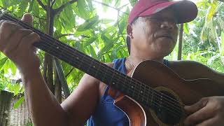 SONG TITLE BABOY  COVER BYDon Anselmo TV [upl. by Misti161]