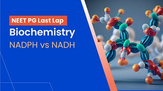 Biochemistry  NADPH vs NADH [upl. by Marguerie]