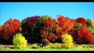 Automne au quebec  Yves Forgues photo [upl. by Joya]