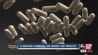 Is Garcinia Cambogia the newest diet miracle [upl. by Calvert]